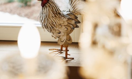 Cucina-Living_Casa_Gallo_3